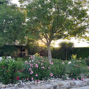 Appartamento Assisi, La Noce, Assisi
