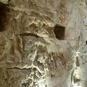 Aurora Delle Rose Assisi